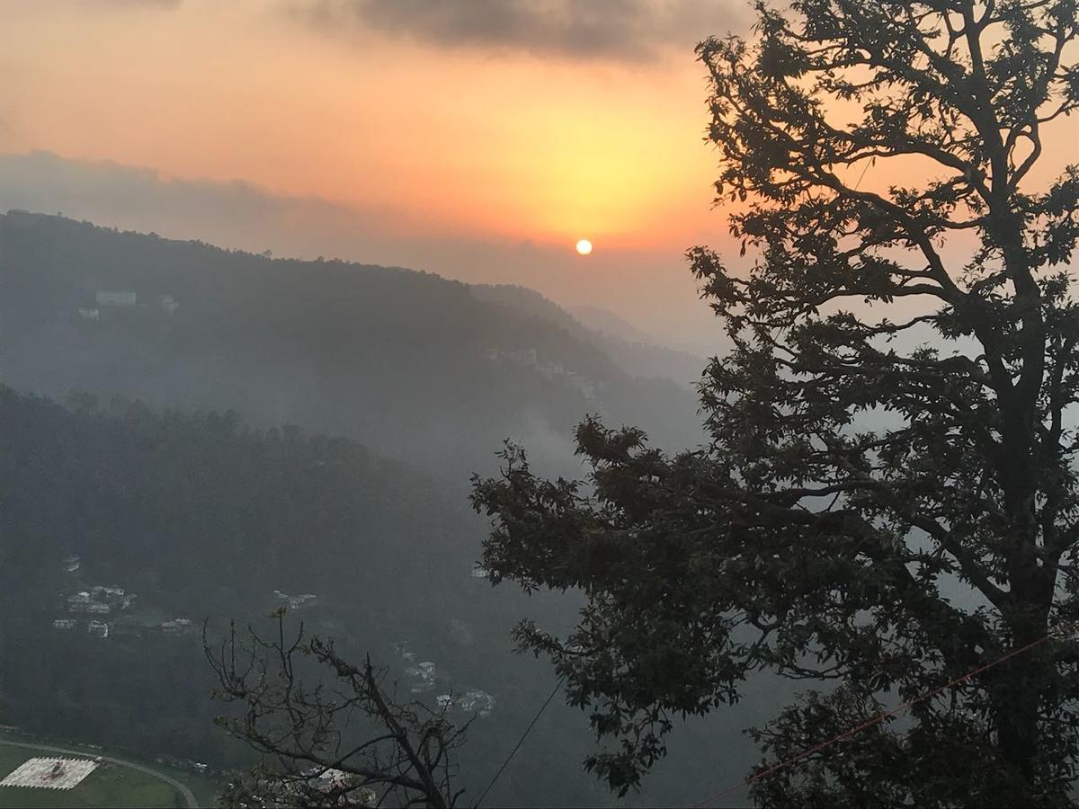 Apple House Bed & Breakfast Shimla Exterior photo
