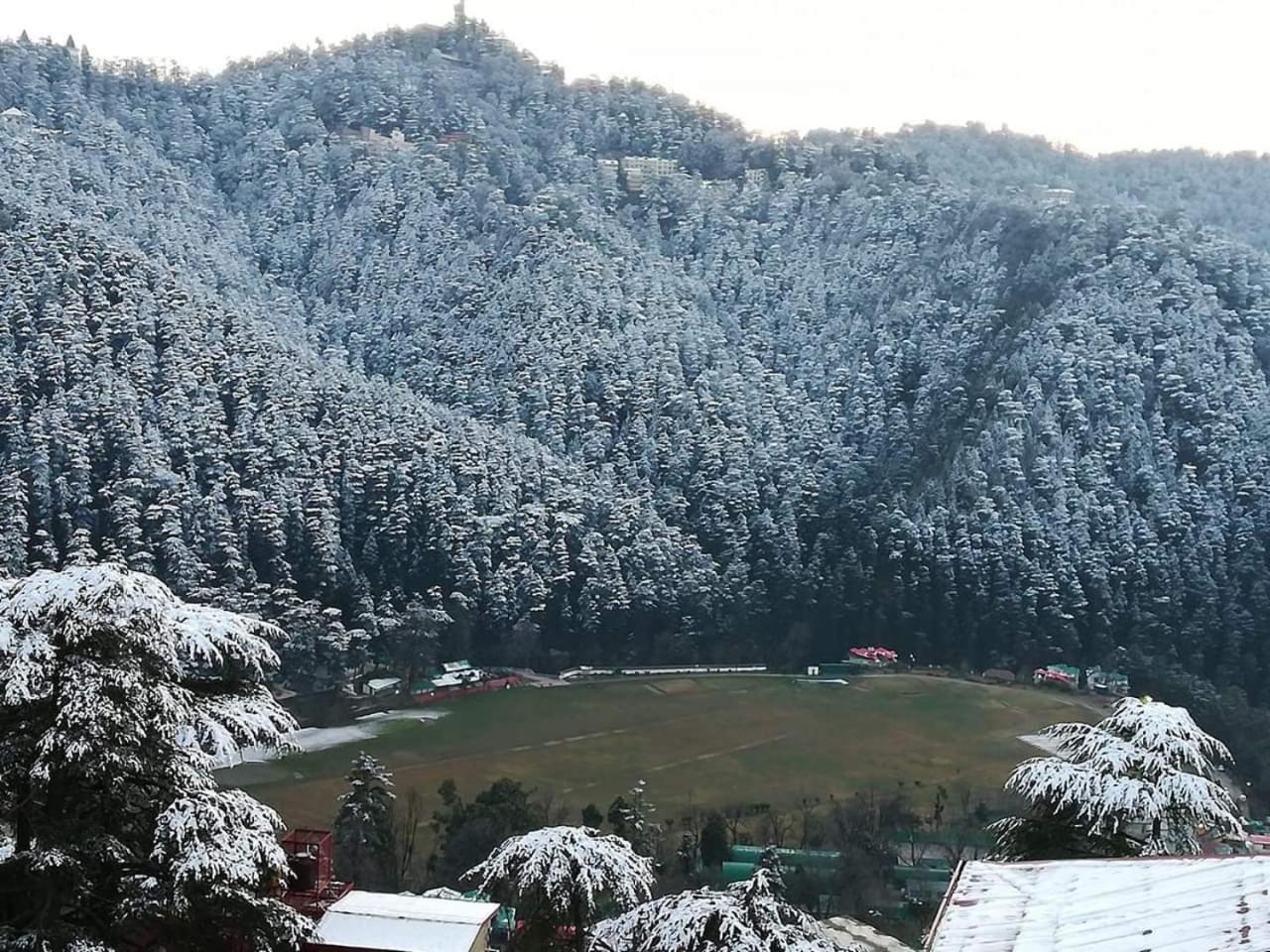Apple House Bed & Breakfast Shimla Exterior photo